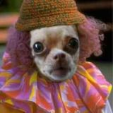 Avatar of user named "3dddo"