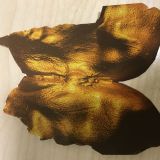 Avatar of user named "wir2beide82"