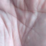 Avatar of user named "xtarquinx"