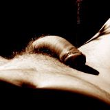 Avatar of user named "Need_More"