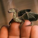 Avatar of user named "lingualover"