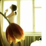 Avatar of user named "pistachedidier"