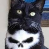 Avatar of user named "The_Punisher"