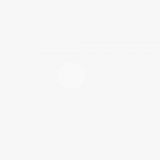 Avatar of user named "ladigo"