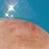 Avatar of user named "fistine"