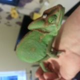 Avatar of user named "Naughtycouple123"