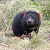 Avatar of user named "casualk"