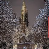 Avatar of user named "lovehair"