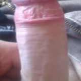 Avatar of user named "Lusttiger71"