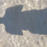 Avatar of user named "hamburger52"