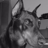 Avatar of user named "Nasty_Ns"