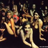 Avatar of user named "hardballs06"