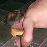 Avatar of user named "lassiesheagle"