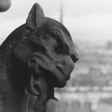 Avatar of user named "maximus62"