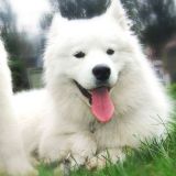 Avatar of user named "hayrimmm"