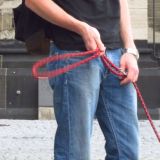 Avatar of user named "harry_85"