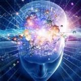 Avatar of user named "fertilemind"