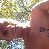 Avatar of user named "Kevincoxxxx"