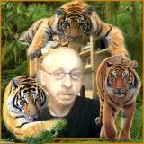 Avatar of user named "Trottel"