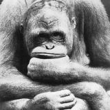 Avatar of user named "Dirtyboy32"